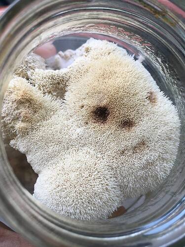 photo_2022-09-09_13-25-25