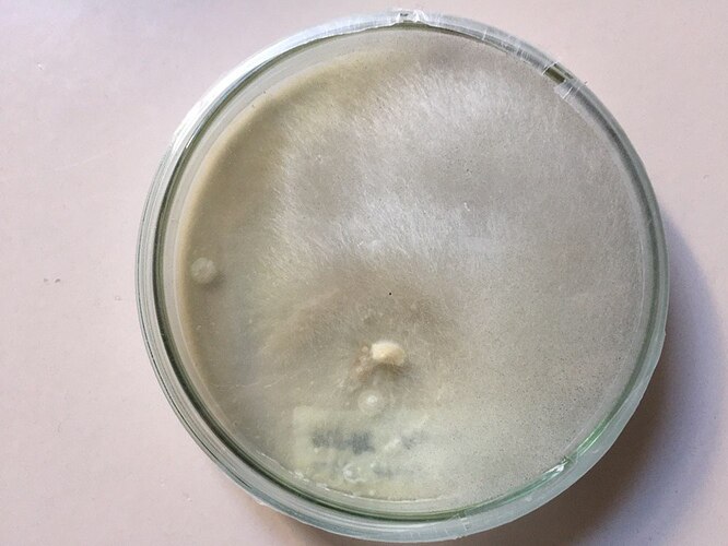 photo_2020-06-23 12.59.15