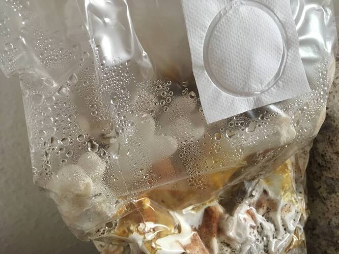 photo_2022-09-09_13-26-35