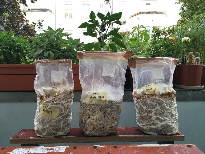 photo_2022-09-09_13-26-03