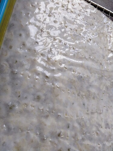 IMG_20210126_115443_787