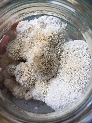 photo_2022-09-09_13-25-32