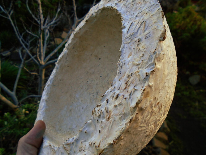 A mycelium bowl (mycobowl) held at an angle, with the greenery of a garden in the background
