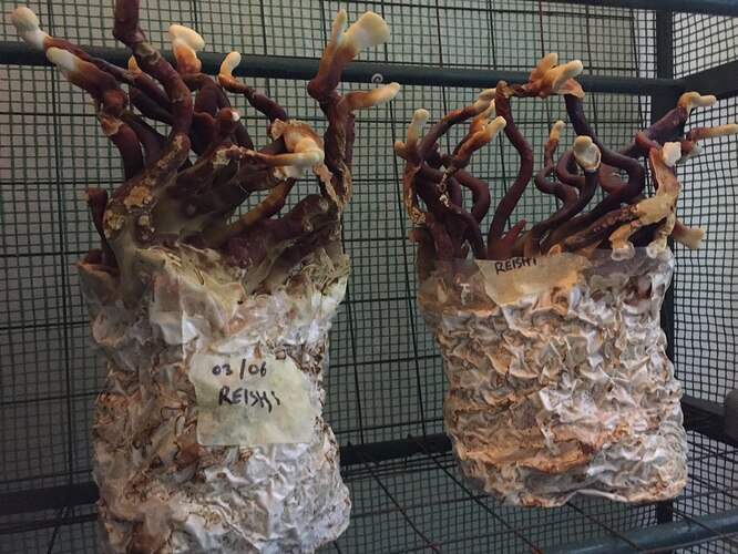 photo_2022-09-09_13-22-57 (2)