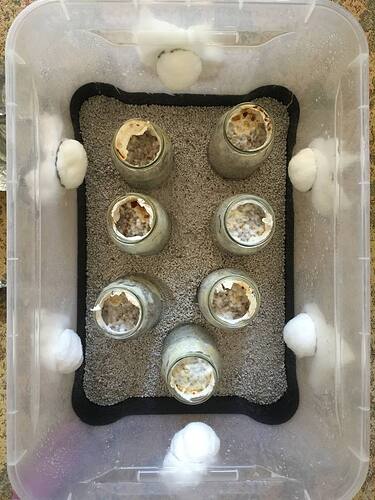 photo_2022-09-09_13-25-50